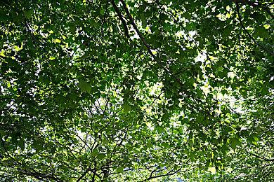 手游《绝地求生：未来之役》联动《我们之中》