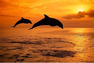 网易5v5射击游戏《界外狂潮》今日公测，支持光线追踪、DLSS4加速