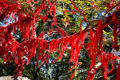 这一次让你血脉偾张 《极限竞速:地平线5》最新DLC带你竞速拉力赛